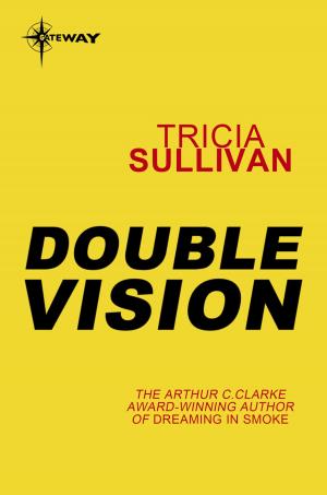 Cover of the book Double Vision by Richard A. Lupoff
