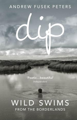 Cover of the book Dip by Mike McGuire