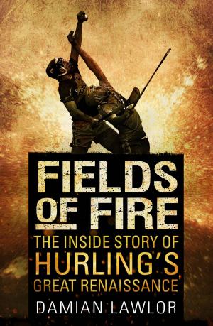 Cover of the book Fields of Fire by Su Tong