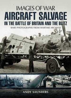 Book cover of Aircraft Salvage in the Battle of Britain and the Blitz