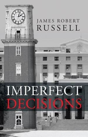 Cover of the book Imperfect Decisions by Ed McBain