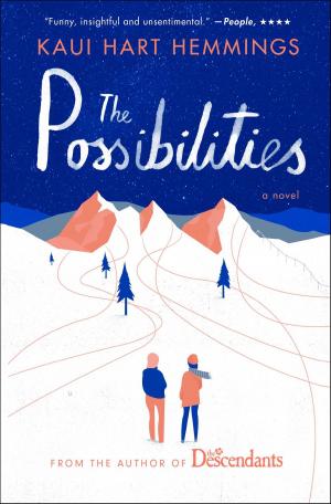 Book cover of The Possibilities