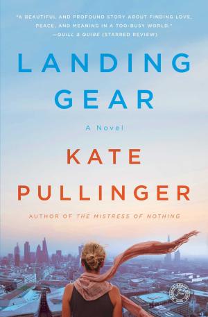 Cover of the book Landing Gear by Lucinda Race