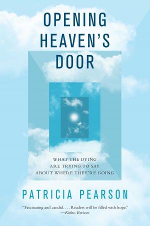 Cover of the book Opening Heaven's Door by Ewan McGregor, Charley Boorman