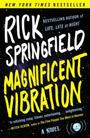 Cover of the book Magnificent Vibration by Daniel F. Seidman, Ph.D.
