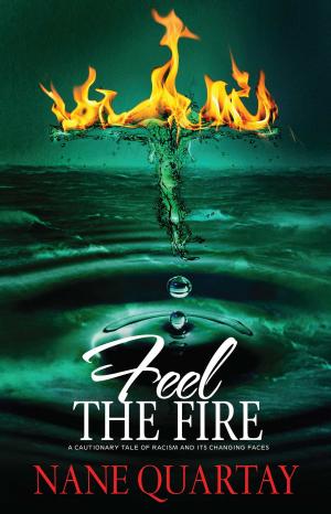 Cover of the book Feel the Fire by Maxwell Thomas