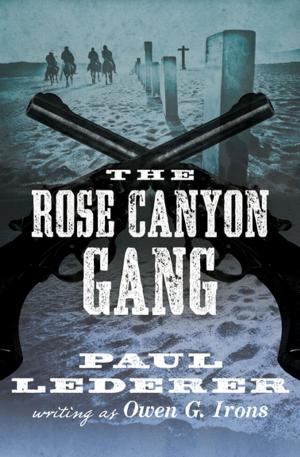 Cover of the book The Rose Canyon Gang by Constance C. Greene