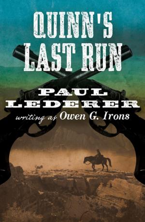 Cover of the book Quinn's Last Run by Poul Anderson