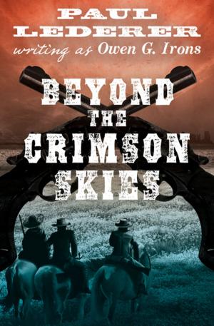 Cover of the book Beyond the Crimson Skies by Laurey Bright