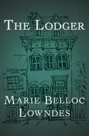 Cover of the book The Lodger by Vanessa Kelly