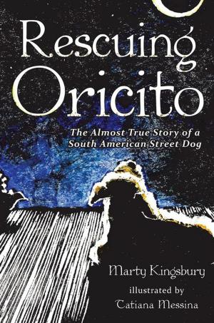 Cover of the book Rescuing Oricito by C. K. Vetsch
