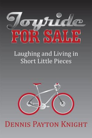 Cover of the book Joyride for Sale by John C. Bednar