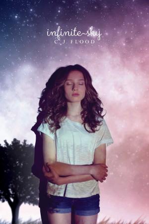 Cover of the book Infinite Sky by Stephanie Burgis