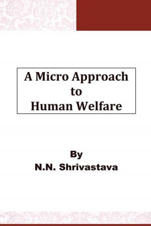 Cover of the book A Micro Approach to Human Welfare by Madhavi N. Gunasheela