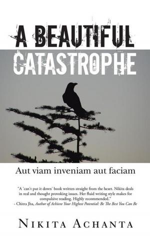bigCover of the book A Beautiful Catastrophe by 