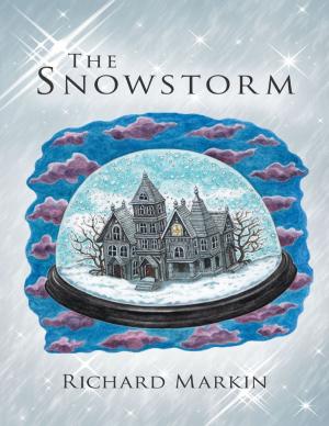 Cover of the book The Snowstorm by Ariana N. Dickey