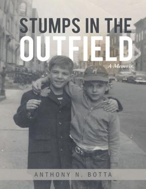 Cover of the book Stumps In the Outfield by G. Irving Hildebrand