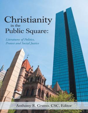 Book cover of Christianity In the Public Square: Literatures of Politics, Protest and Social Justice