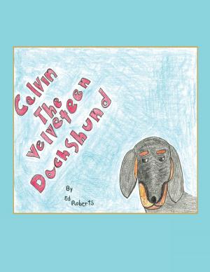 Cover of the book Calvin the Velveteen Dachshund by Ylond Miles-Davis