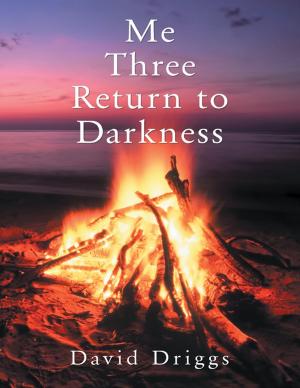 Cover of the book Me Three: Return to Darkness by Jonathan Kohlmeier