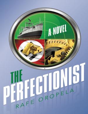 Cover of the book The Perfectionist by Donna Nitz Muller