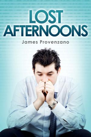 Book cover of Lost Afternoons