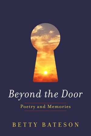Cover of the book Beyond the Door by Lee Stratton