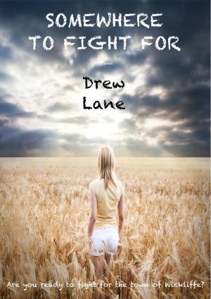 Cover of the book Somewhere To Fight For by Erica Negi