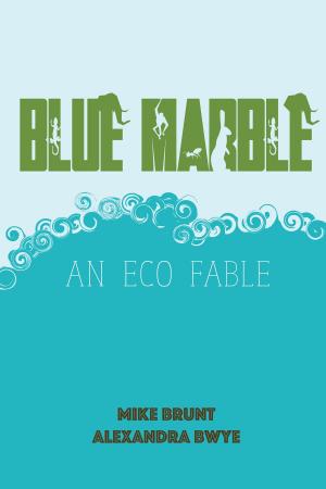 Cover of the book Blue Marble by J. R. Maddux