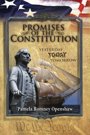 Cover of the book Promises Of The Constitution by Rev. Kory Wilcoxson