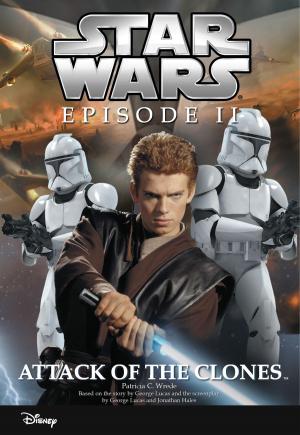 Cover of the book Star Wars Episode II: Attack of the Clones by Lisa Ann Marsoli