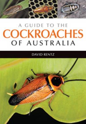 Cover of the book A Guide to the Cockroaches of Australia by A Barrie Pittock