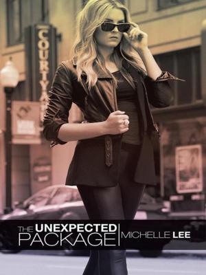 Cover of the book The Unexpected Package by Blanche Perez