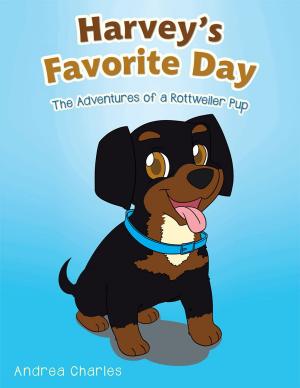 Cover of the book Harvey's Favorite Day by Sandy Donaghy