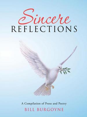 Cover of the book Sincere Reflections by Joseph Dorazio