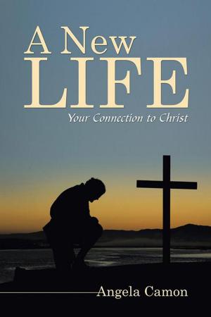 Cover of the book A New Life by Barbara Sherrod
