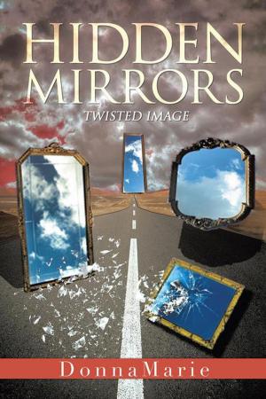 Cover of the book Hidden Mirrors by Christine Burton