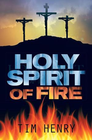 Cover of the book Holy Spirit of Fire by Duane Shoebridge