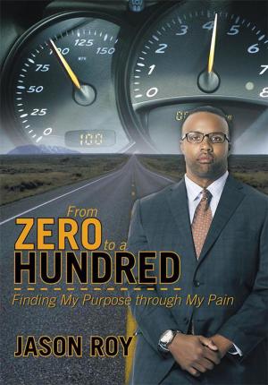 Book cover of From Zero to a Hundred