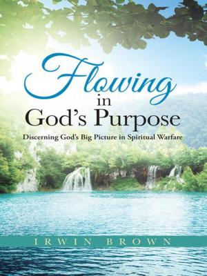Book cover of Flowing in God’S Purpose