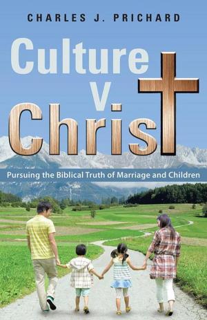 bigCover of the book Culture V. Christ by 
