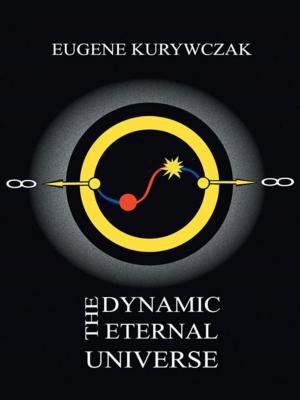 Cover of the book The Dynamic Eternal Universe by Bruce Patterson