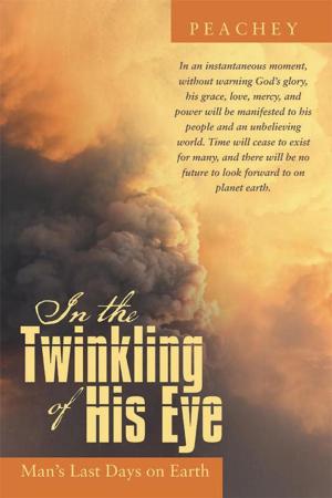 Cover of the book In the Twinkling of His Eye by Shellee A. Mitchell