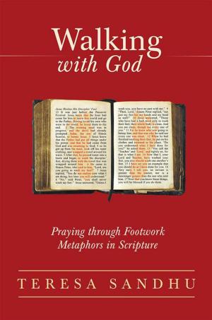 bigCover of the book Walking with God by 