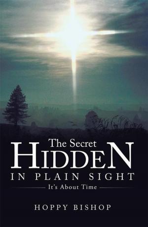 Cover of the book The Secret Hidden in Plain Sight by Beverly Ridgewell
