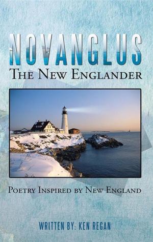 Book cover of Novanglus the New Englander