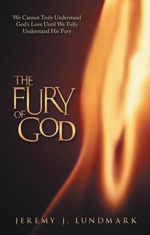 Cover of the book The Fury of God by T. Martin Young