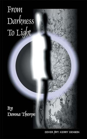 Cover of the book From Darkness to Light by Donna David