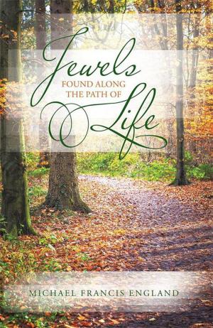 Cover of the book Jewels Found Along the Path of Life by Andy Mendonsa