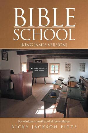 Cover of the book Bible School by Stan Johnson